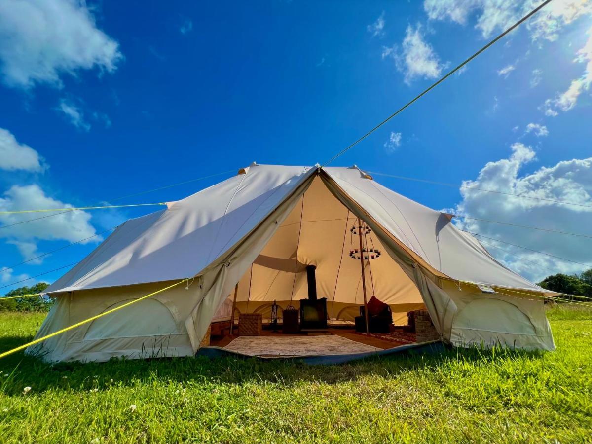 Hartridge Springs Otel Honiton Dış mekan fotoğraf