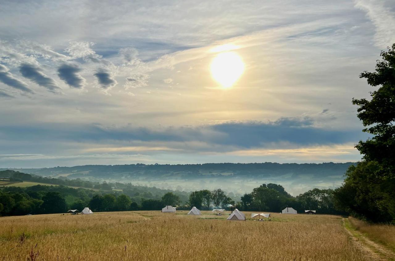 Hartridge Springs Otel Honiton Dış mekan fotoğraf